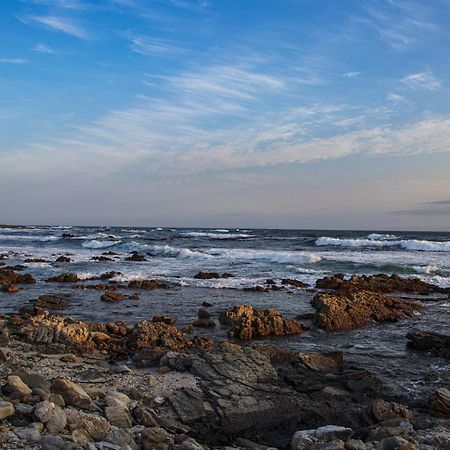 Snails' End Cottage Hermanus Ngoại thất bức ảnh