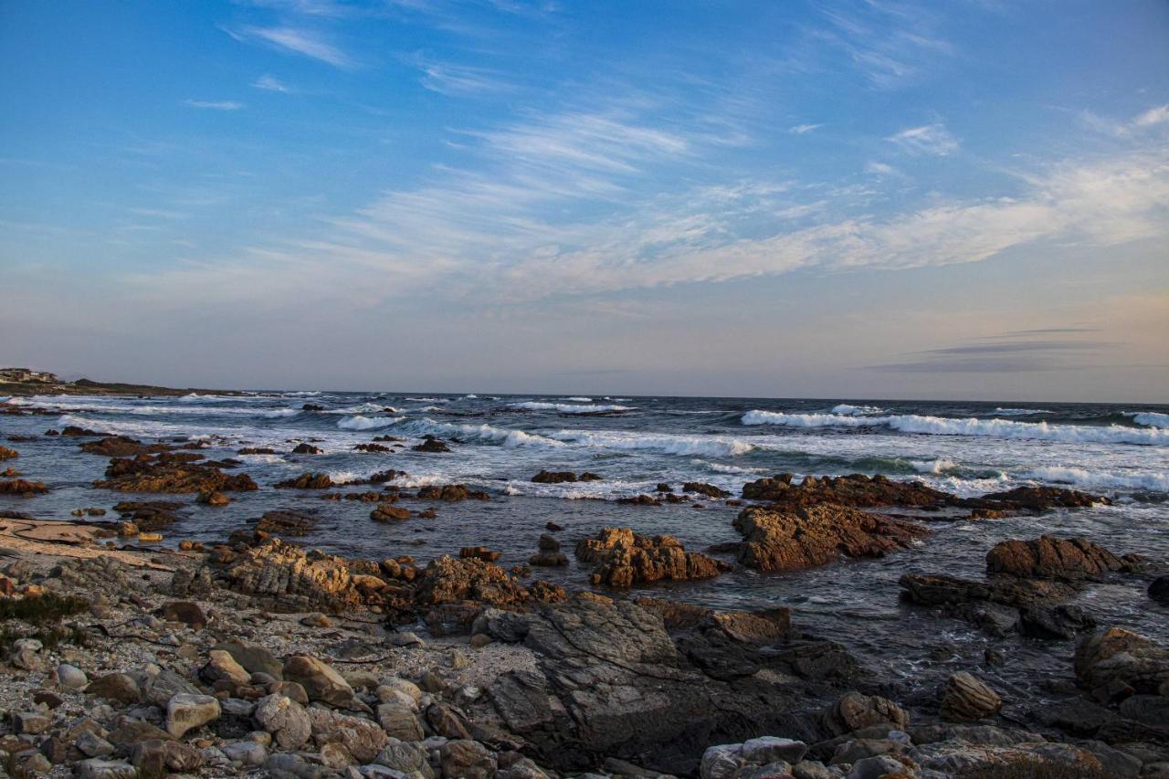 Snails' End Cottage Hermanus Ngoại thất bức ảnh